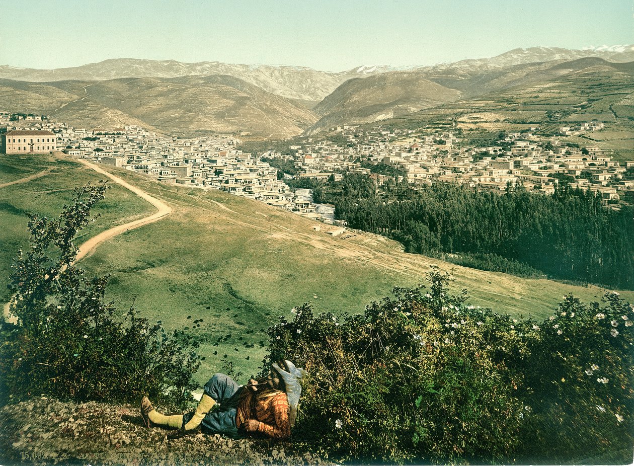 Zahleh, Anti-Libanon, ca. 1880-1900 door Swiss Photographer