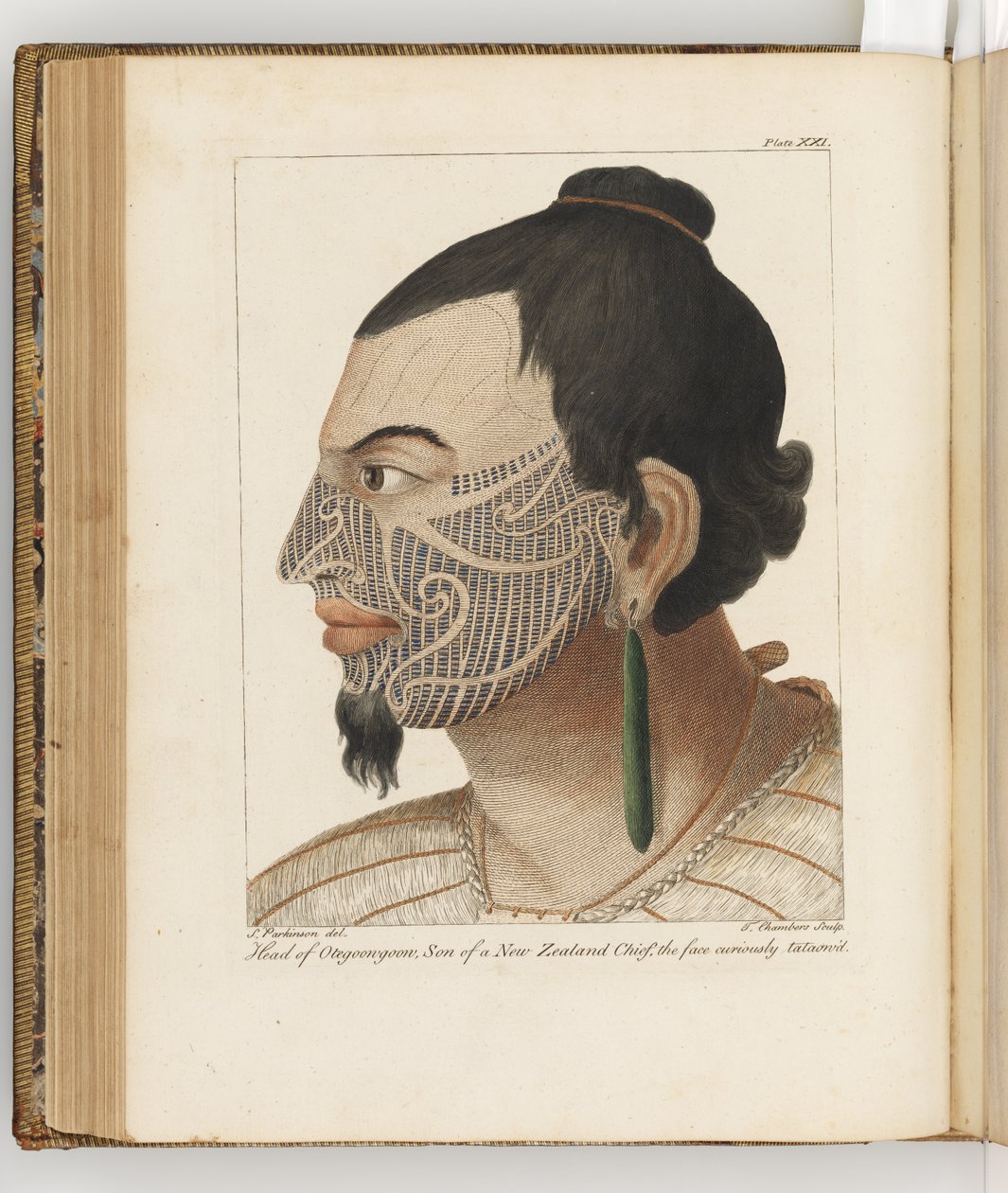 Hoofd van Otegoongoon, illustratie uit Een reisverslag naar de Zuidzeeën: in Zijne Majesteits schip, de Endeavour, 1794 door Sydney