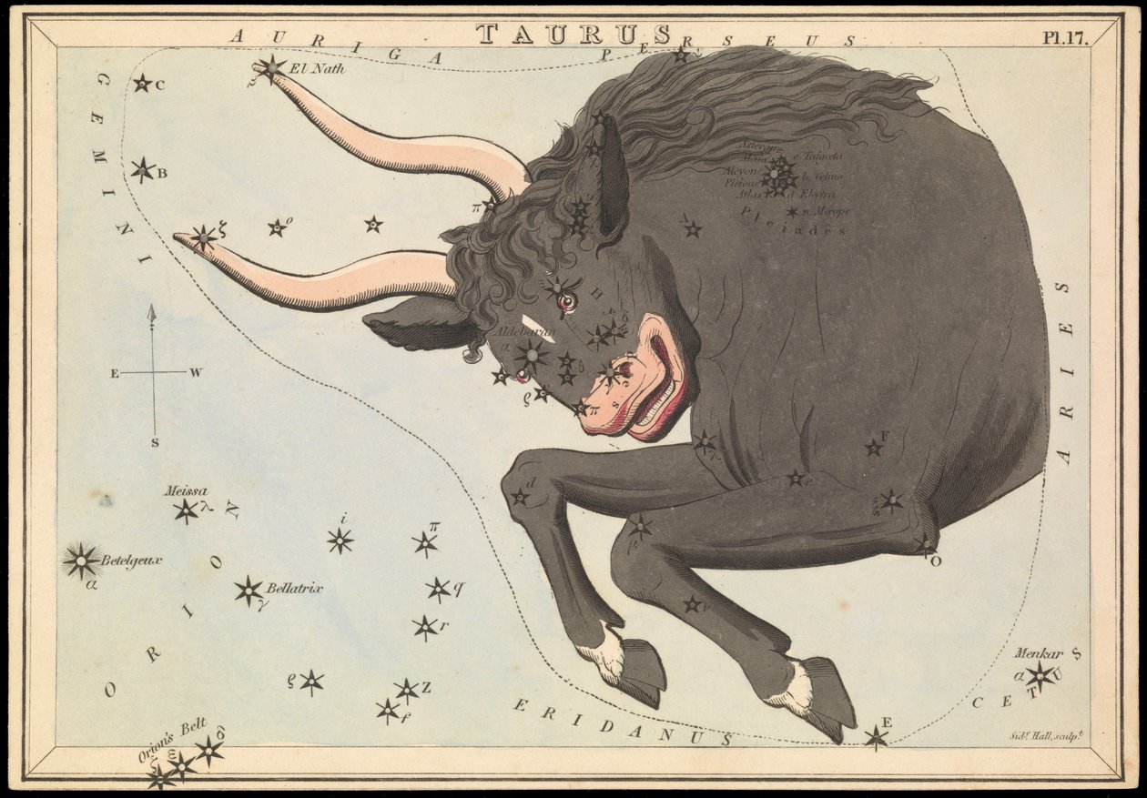 Stier, ca. 1825 door Sydney Hall