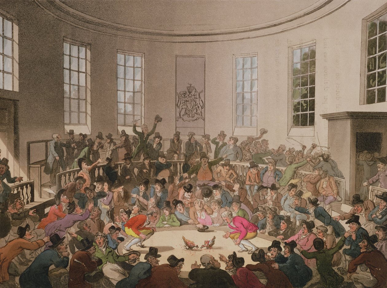 Royal Cock Pit, 1808, gegraveerd door John Bluck door Pugin and Rowlandson