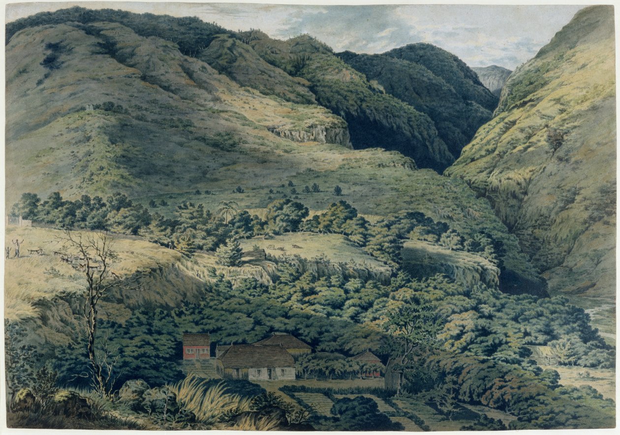 Ravijn en Rivier bij St. Denis, Bourbon, 1814 door T. Bradshaw