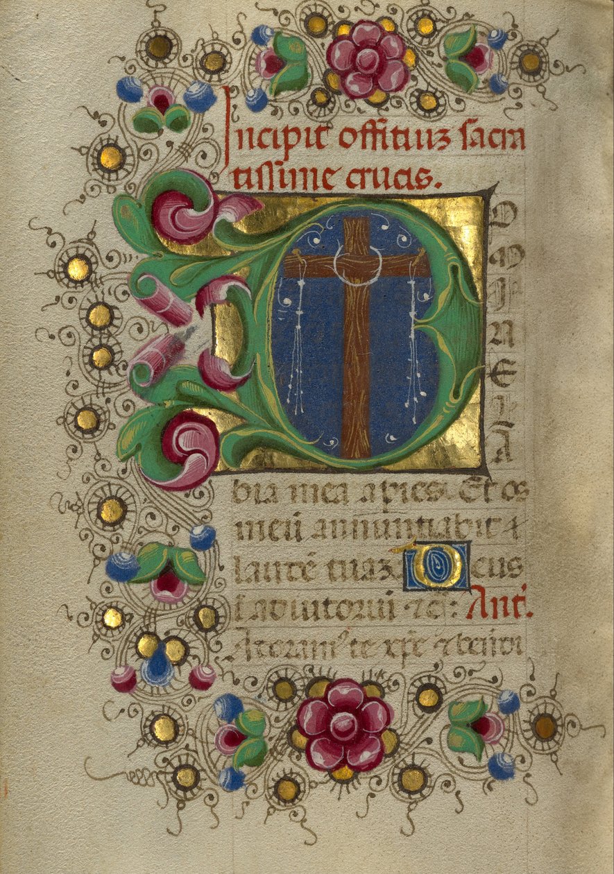 Initiaal D Het Kruis door Taddeo Crivelli