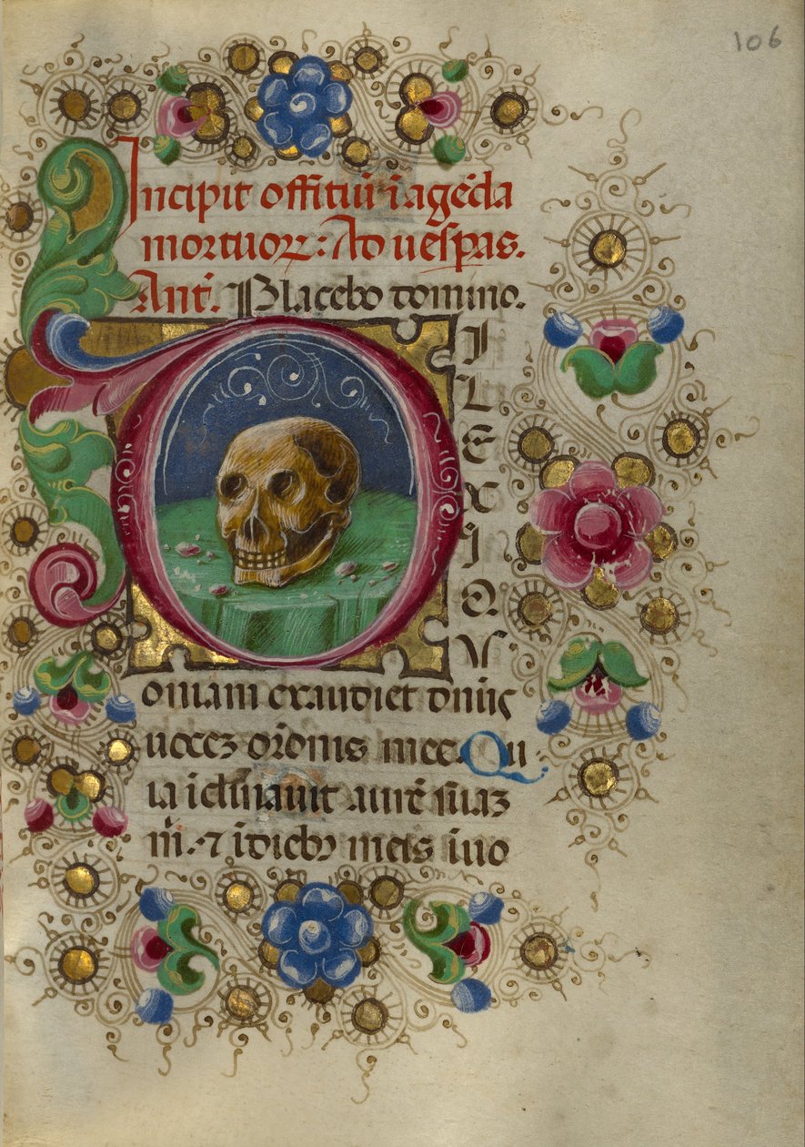 Een Schedel in een Rotsachtig Veld door Taddeo Crivelli