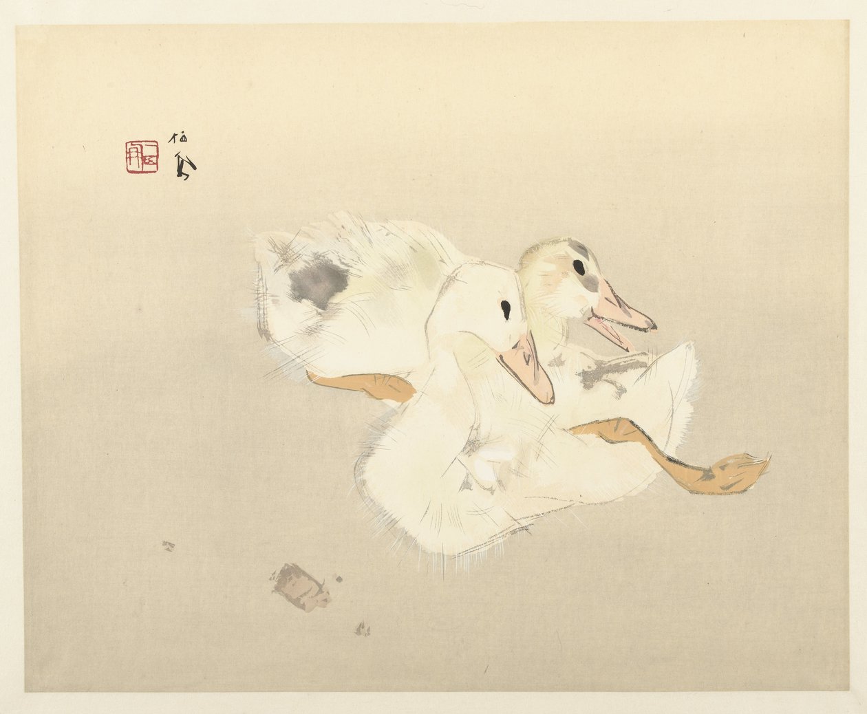 Jonge eenden door Takeuchi Seiho