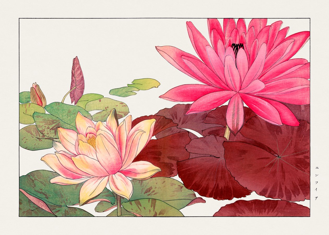 Nymphaea lotus van "Seiyou Sokazufu door Tanigami Konan