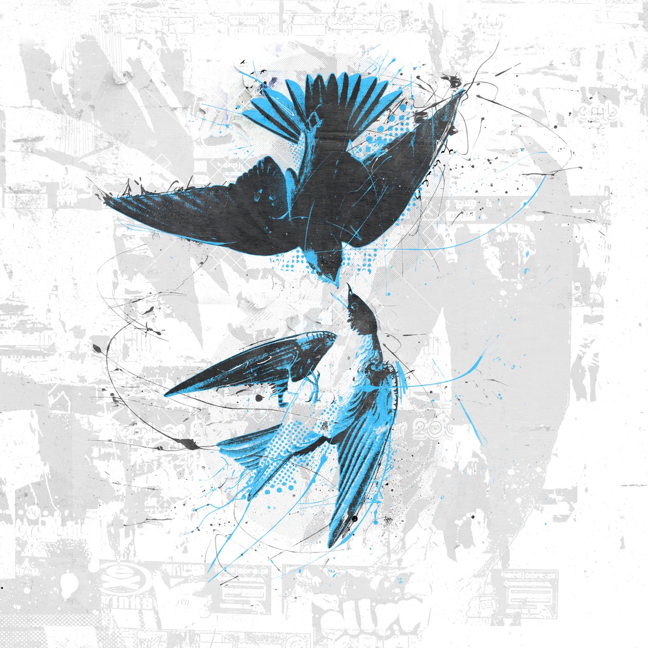 Spiraalvogels II door Teis Albers