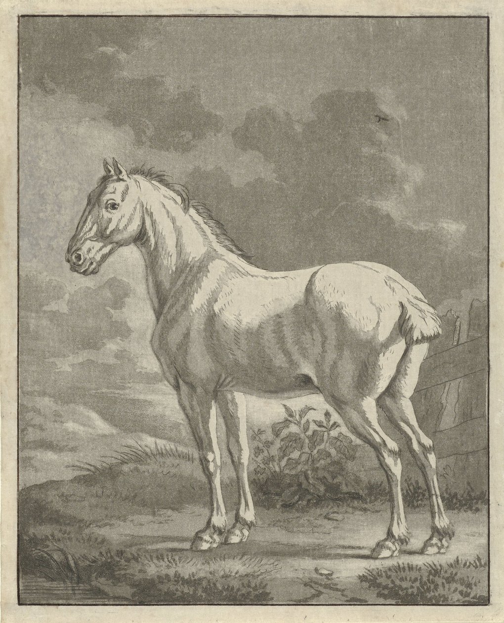 Schimmel in een wei door Tethart Philip Christian Haag