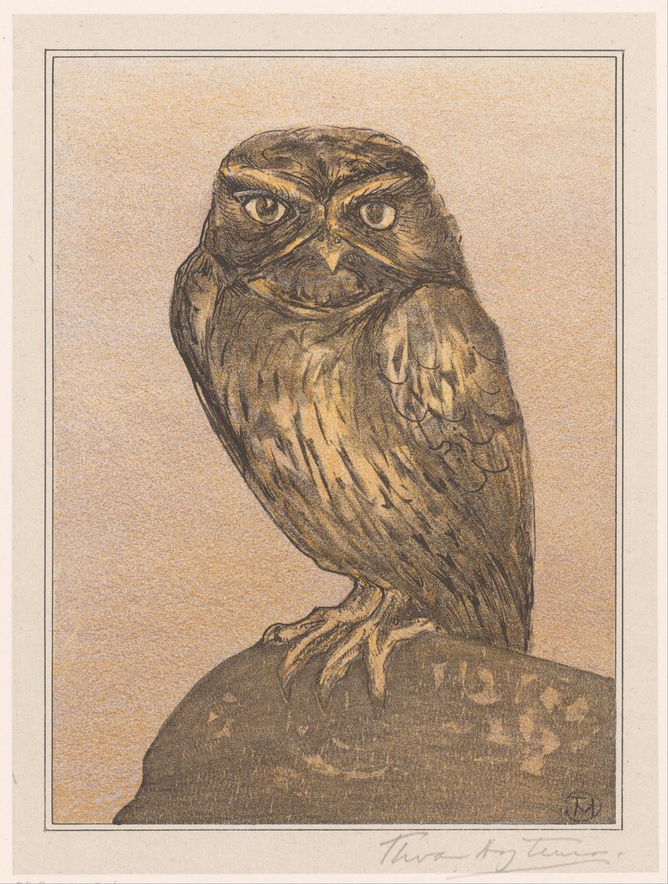 Steenuil op rots door Theo van Hoytema (signed by artist)