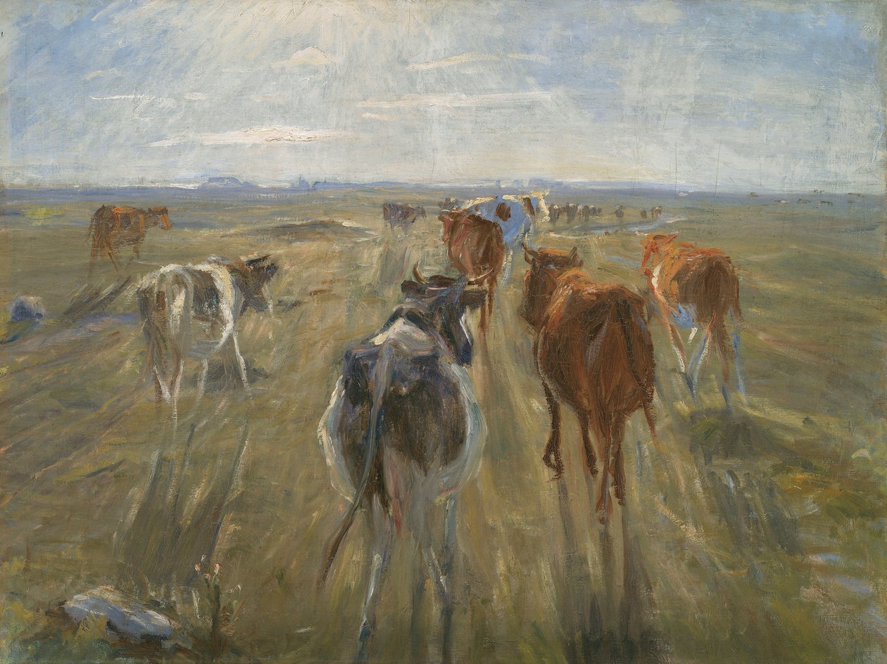 Lange schaduwen. Vee op het eiland Saltholm, ca. 1890 door Theodor Esbern Philipsen