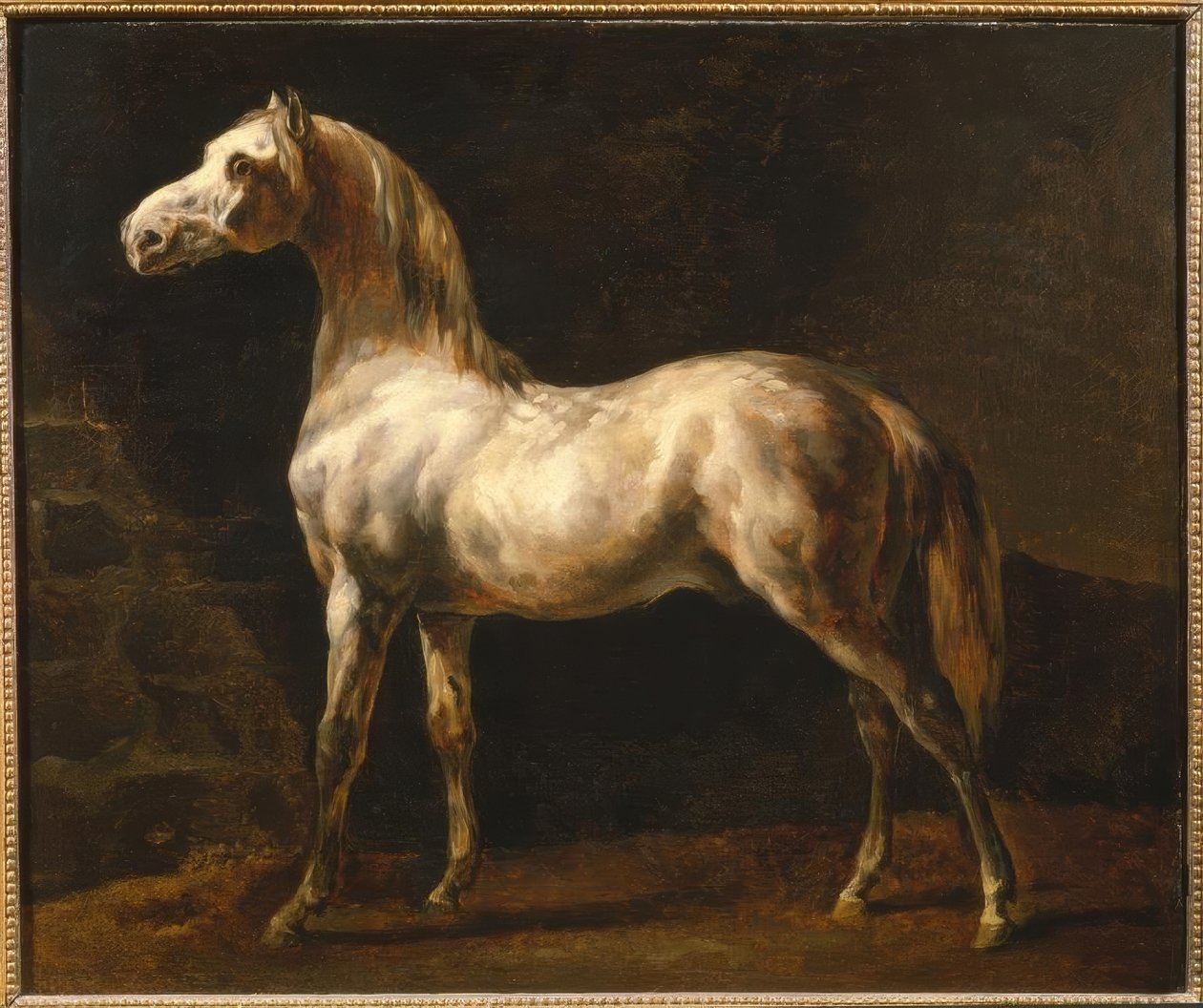 De witte hengst door Theodore Gericault