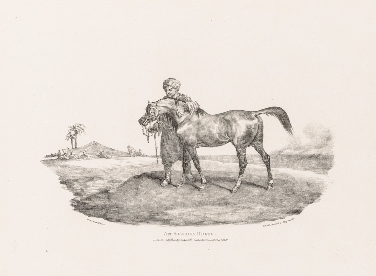 Een Arabisch paard door Theodore Gericault