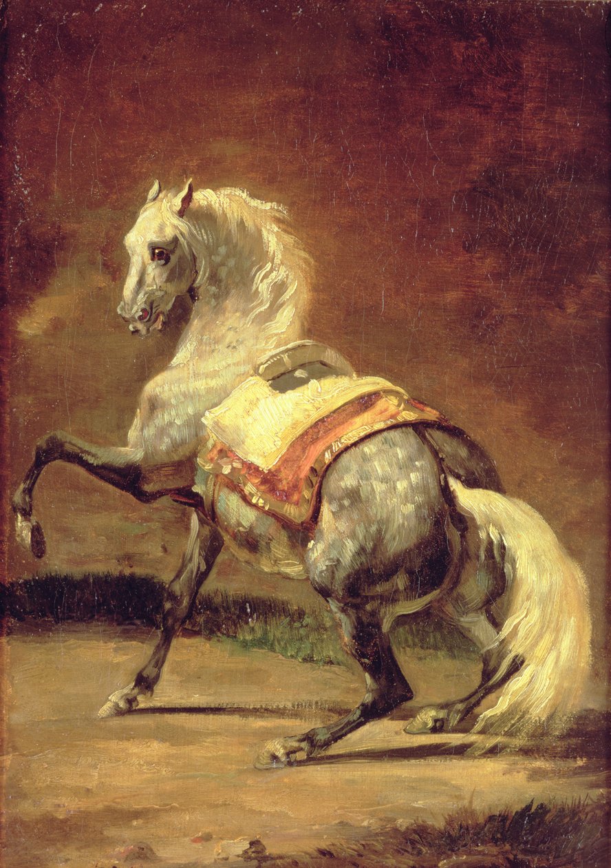 Gevlekt Grijs Paard door Theodore Gericault