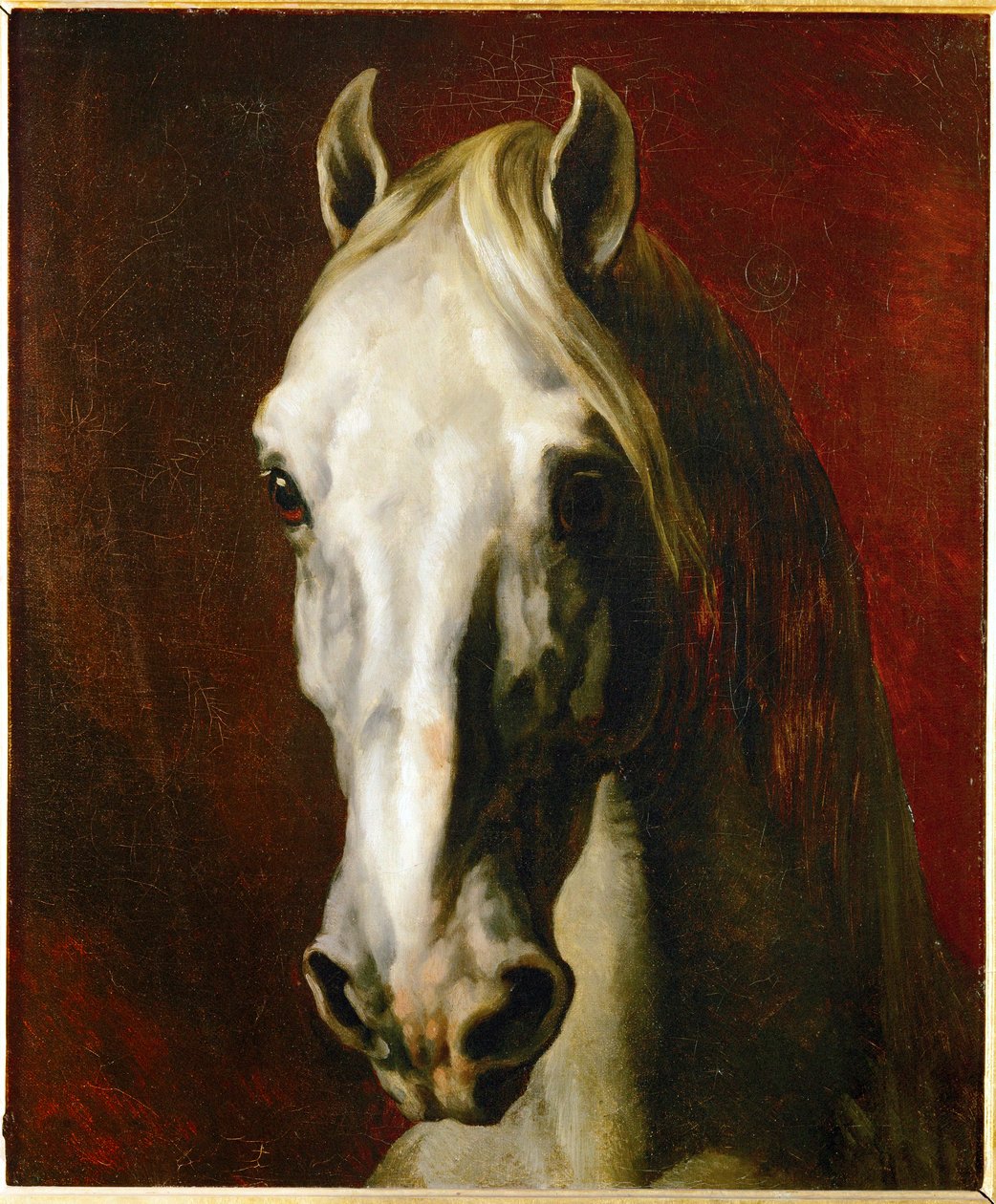 Hoofd van een wit paard ... door Theodore Gericault