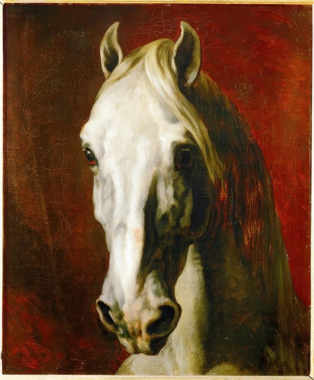 Hoofd van een schimmel door Theodore Gericault