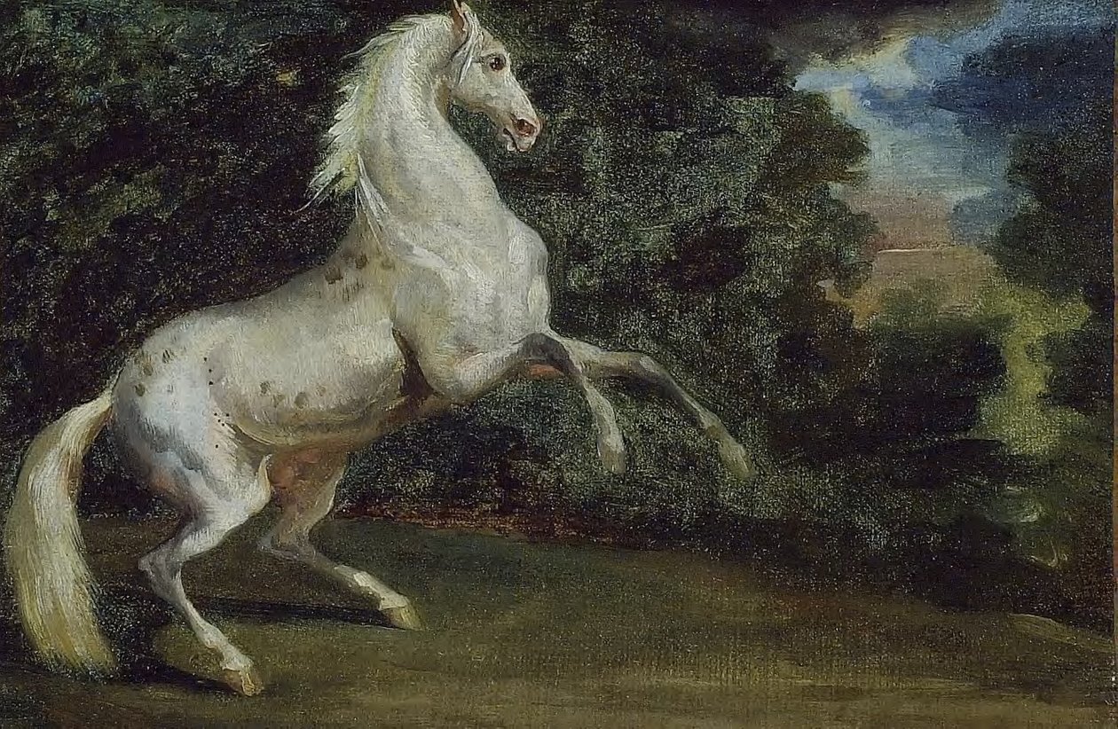 Steigerend Paard door Theodore Gericault