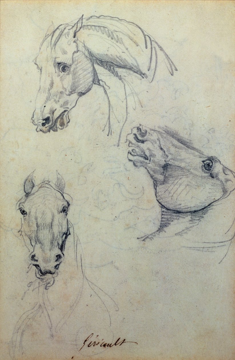 Drie paardenhoofden door Theodore Gericault