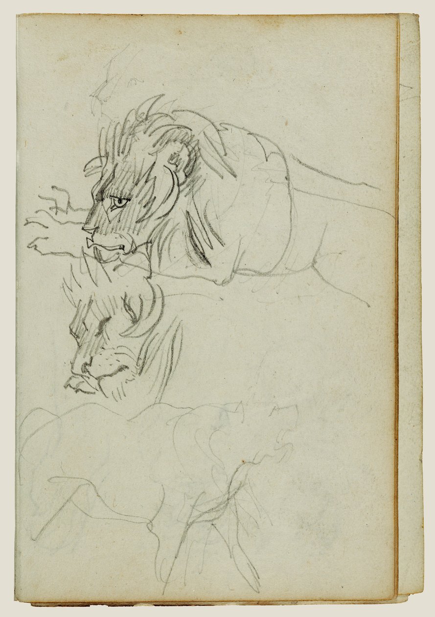 Drie leeuwenstudies door Theodore Gericault