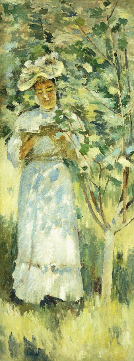 Zonlicht en schaduwen door Theodore Robinson