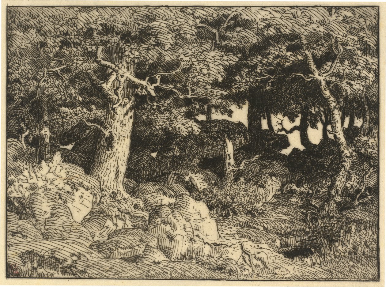 Rots Eiken door Theodore Rousseau