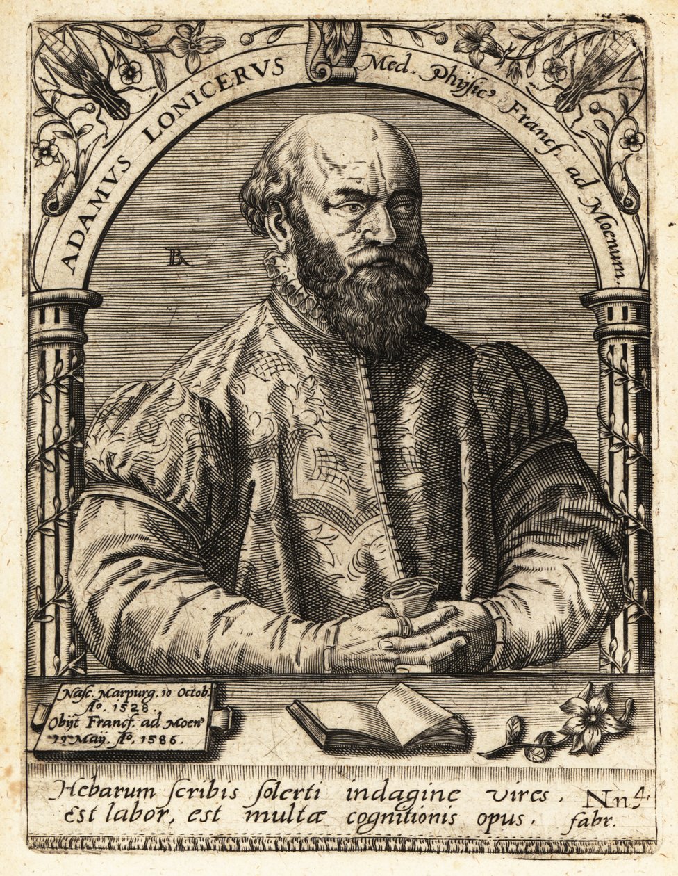 Adam Lonicer of Lonitzer door Theodore de Bry