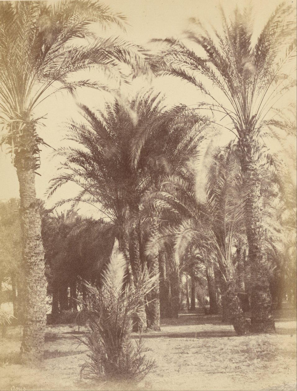 Gous door Théodule Devéria
