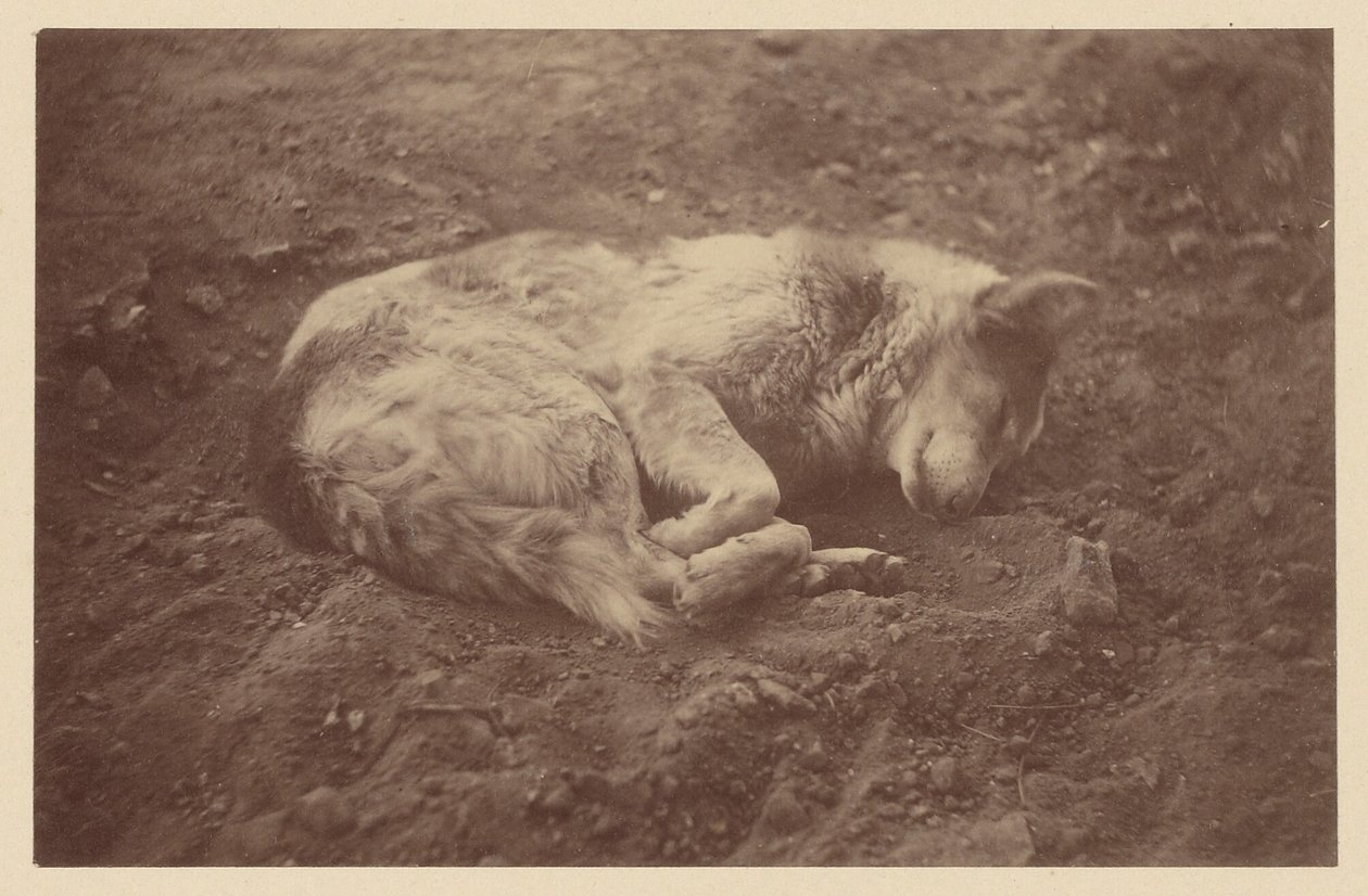 [Slapende hond] door Théodule Devéria