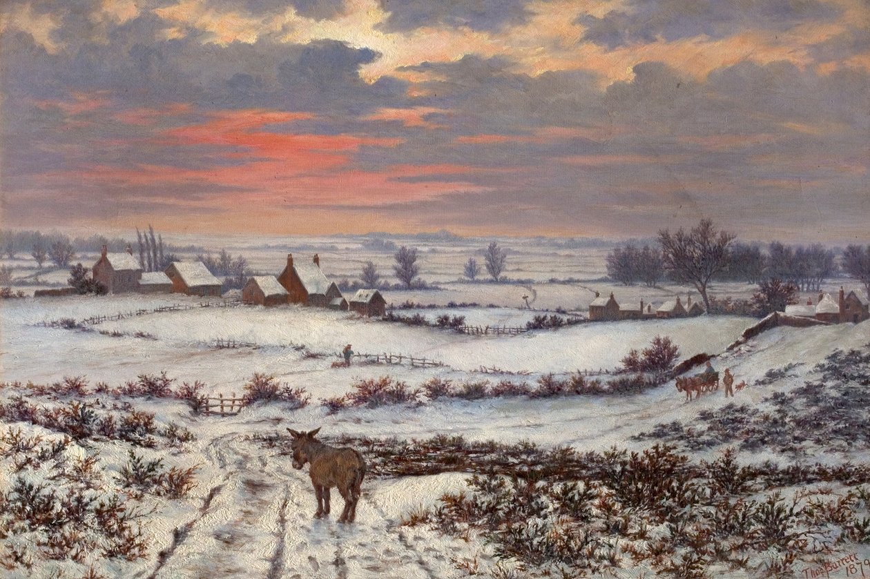 Sneeuwstuk, Bulwell Forest, Nottinghamshire door Thomas Barratt