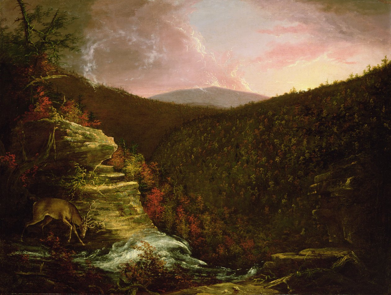 Vanaf de top van Kaaterskill Falls, 1826 door Thomas Cole