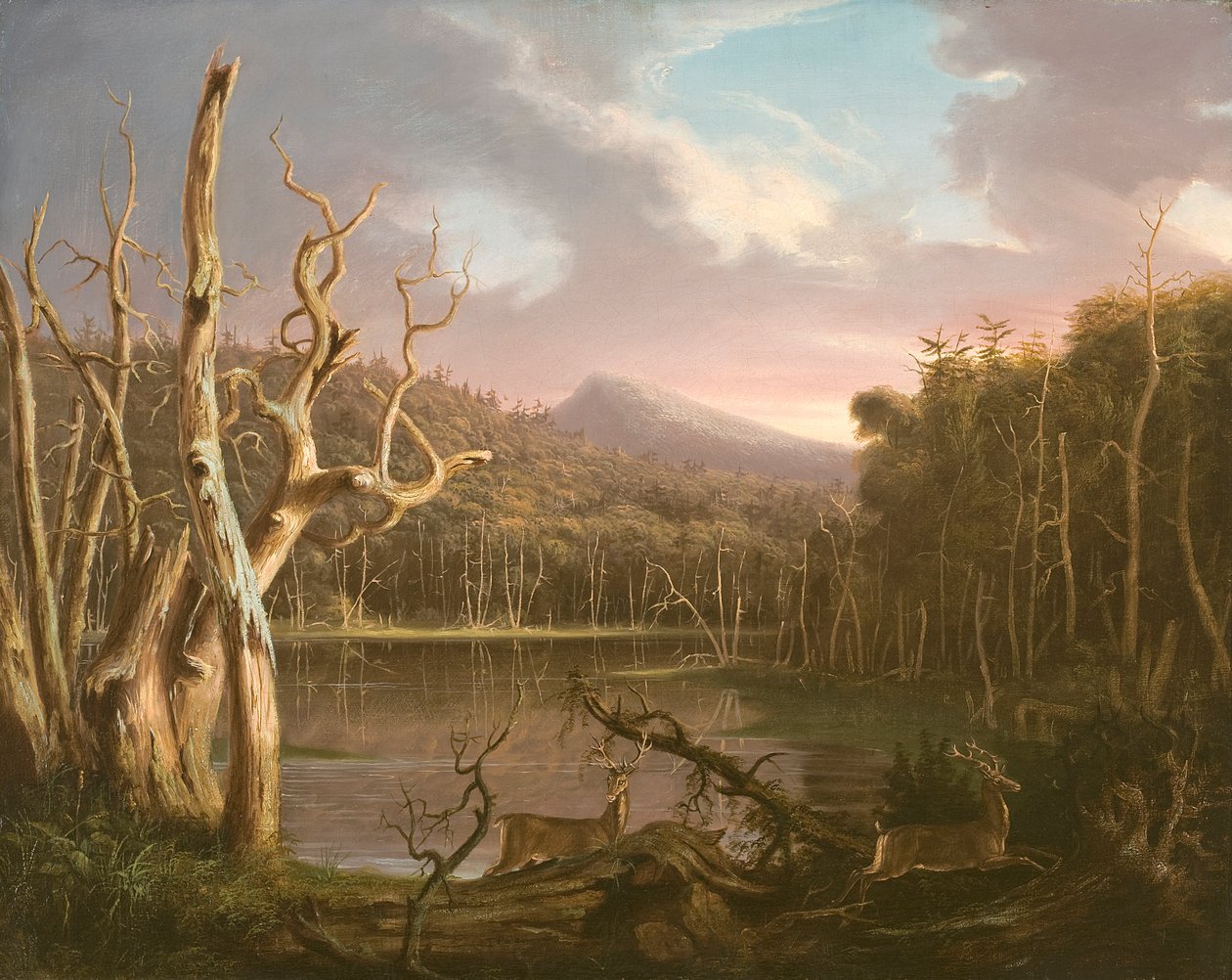 Meer met dode bomen (Catskill) door Thomas Cole