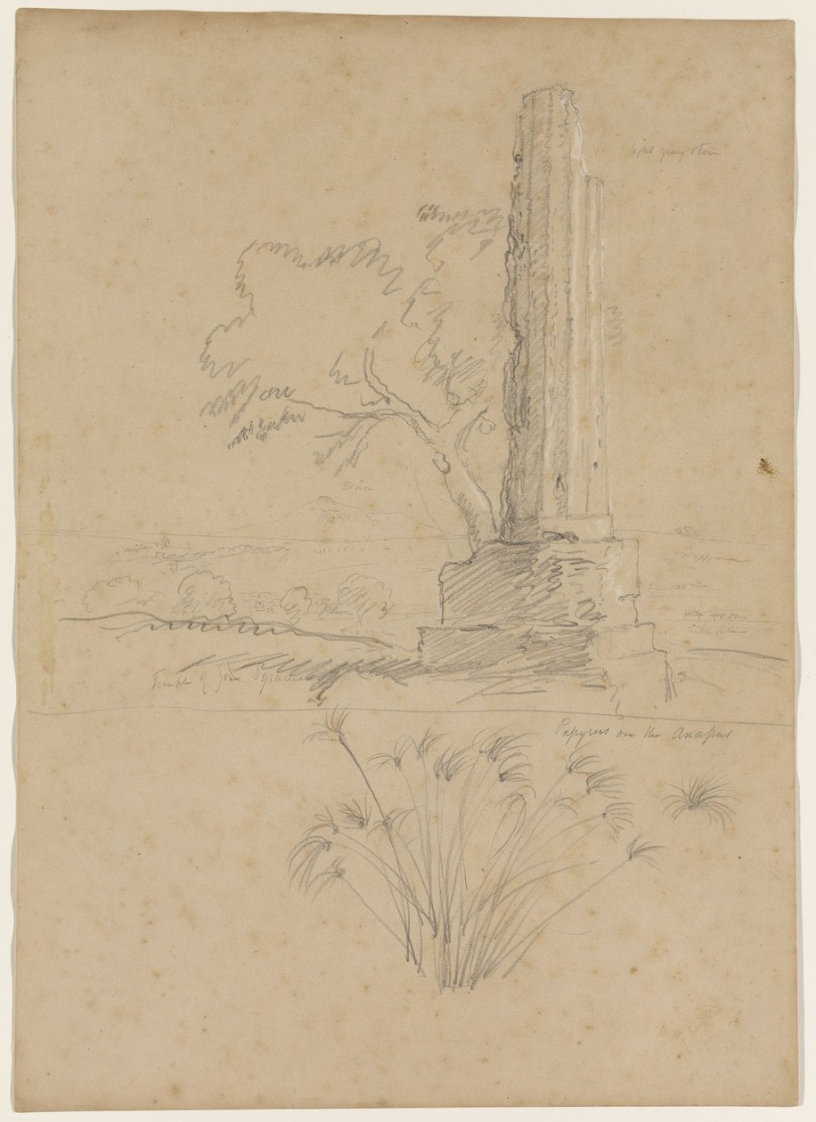 Tempel van Zeus en papyrus aan de Anapo-rivier, nabij Syracuse, Sicilië, 1842 door Thomas Cole