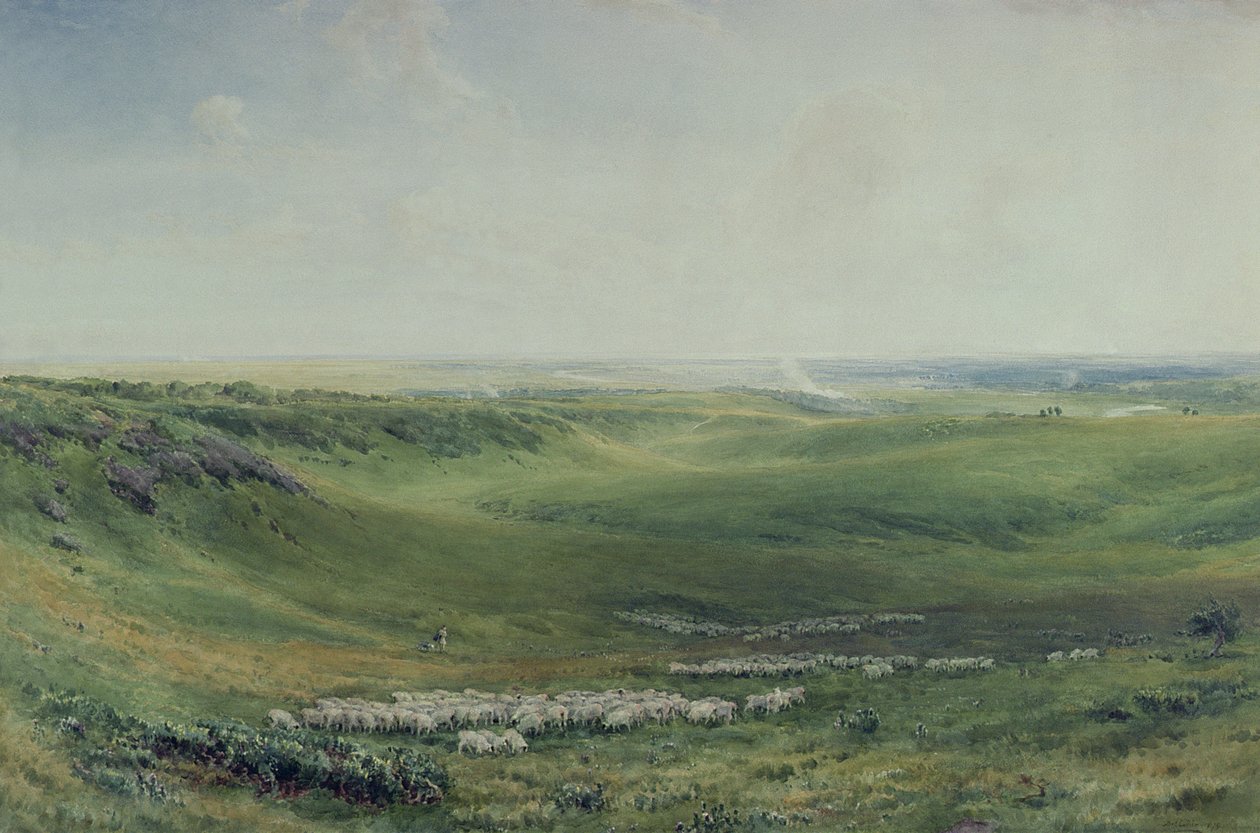 Brede weiden, Sussex door Thomas Collier