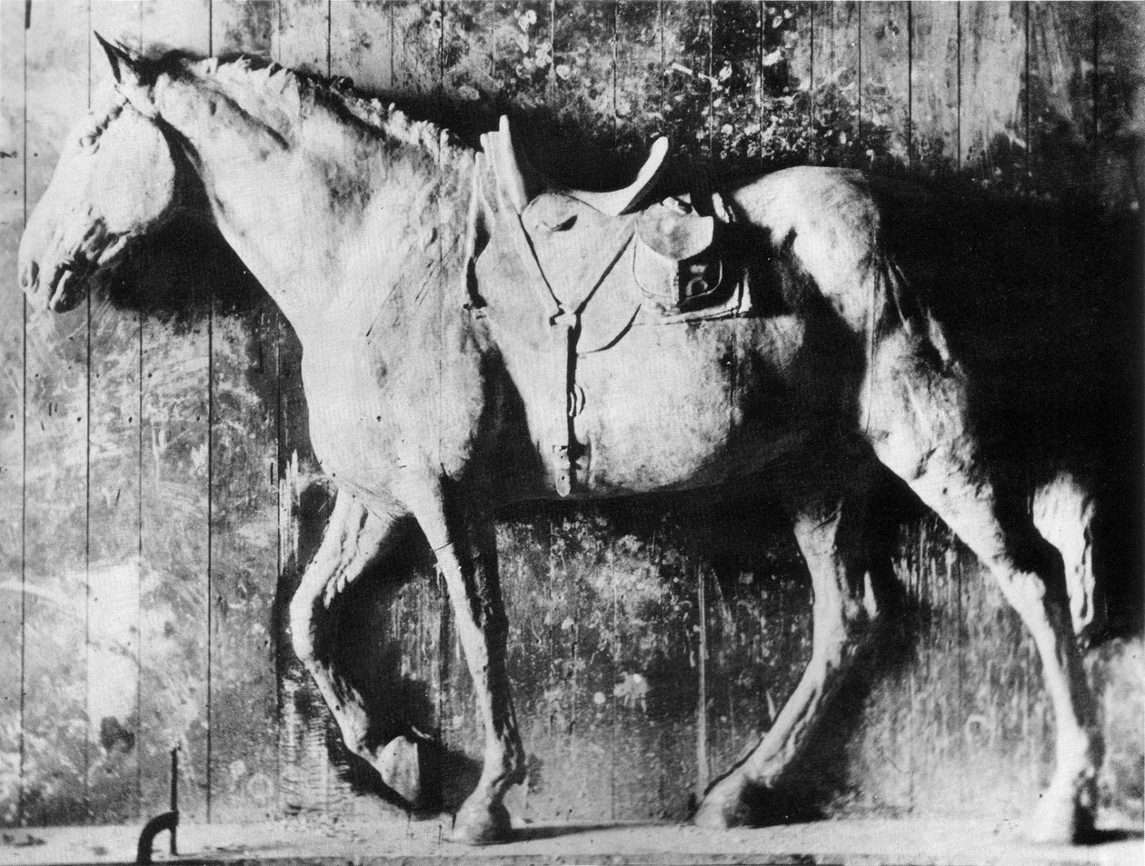 Clinker door Thomas Eakins