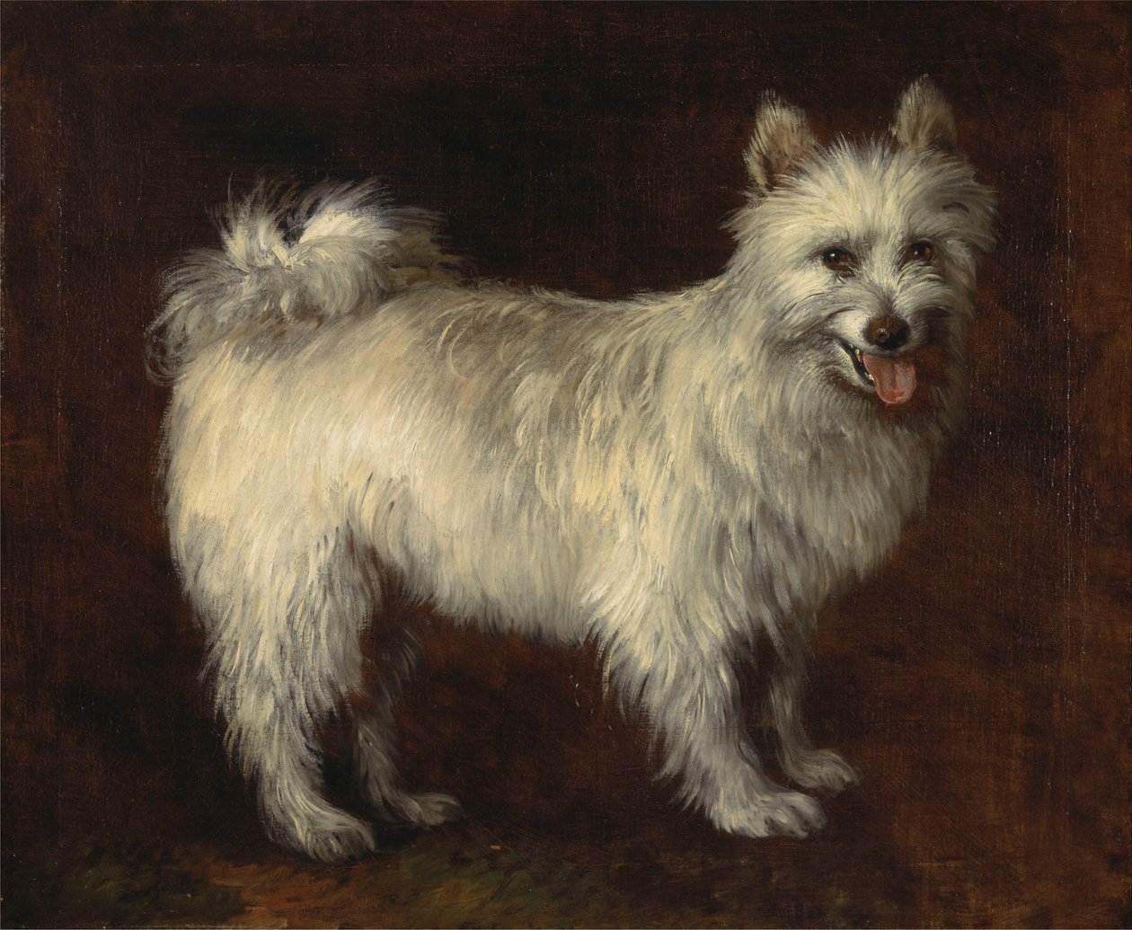 Spitzhond door Thomas Gainsborough