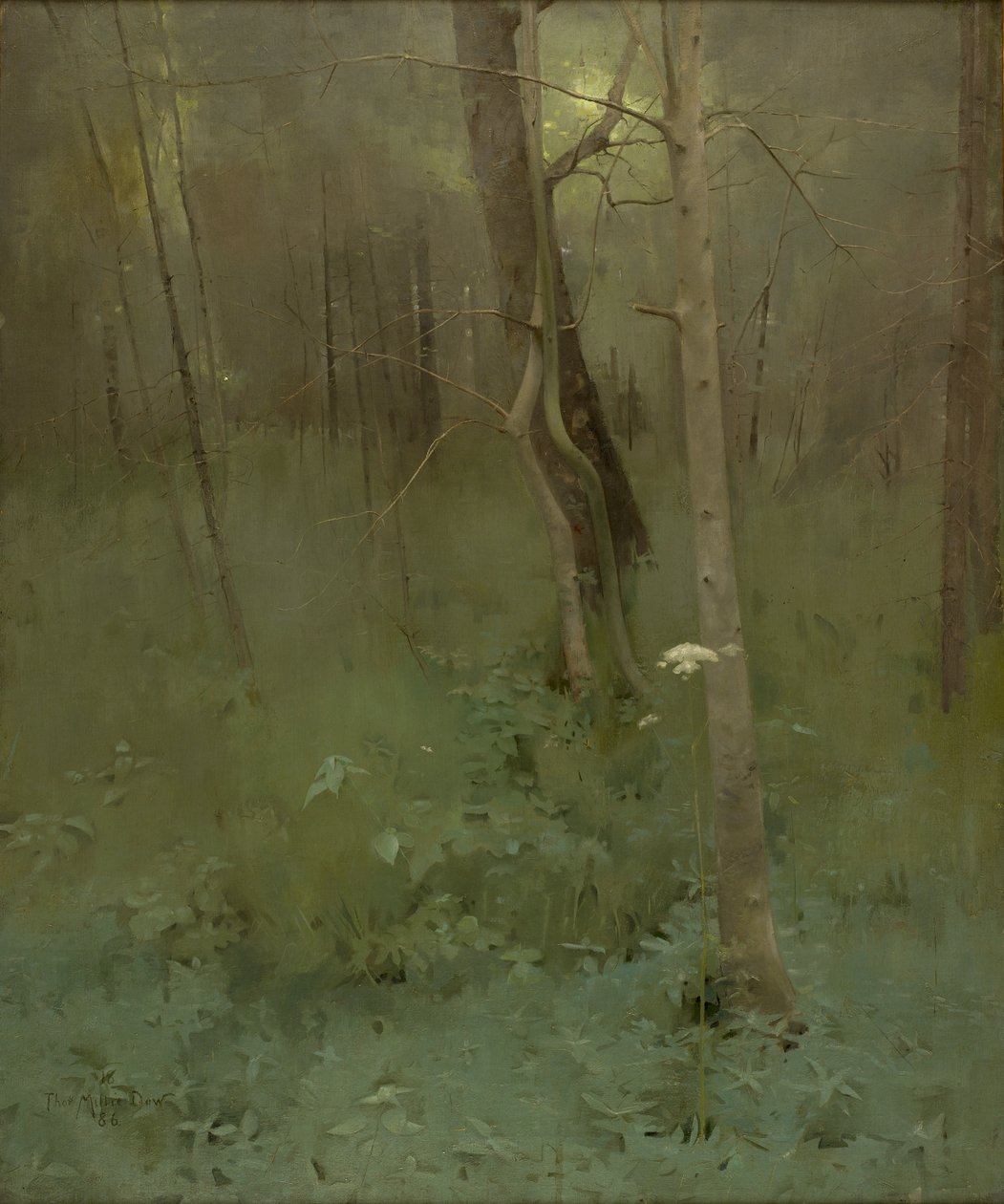 Bomen, 1886 door Thomas Millie Dow