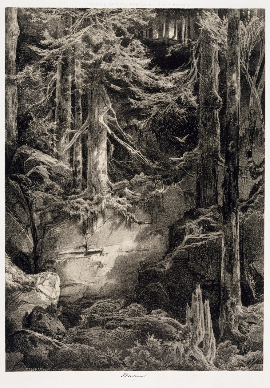 In het Woud van de Wissahickon, 1868 door Thomas Moran
