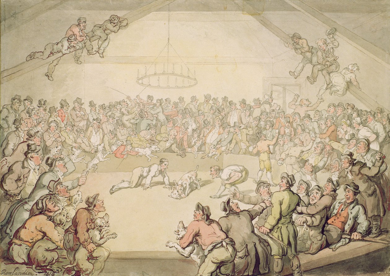 Het Honden Gevecht door Thomas Rowlandson