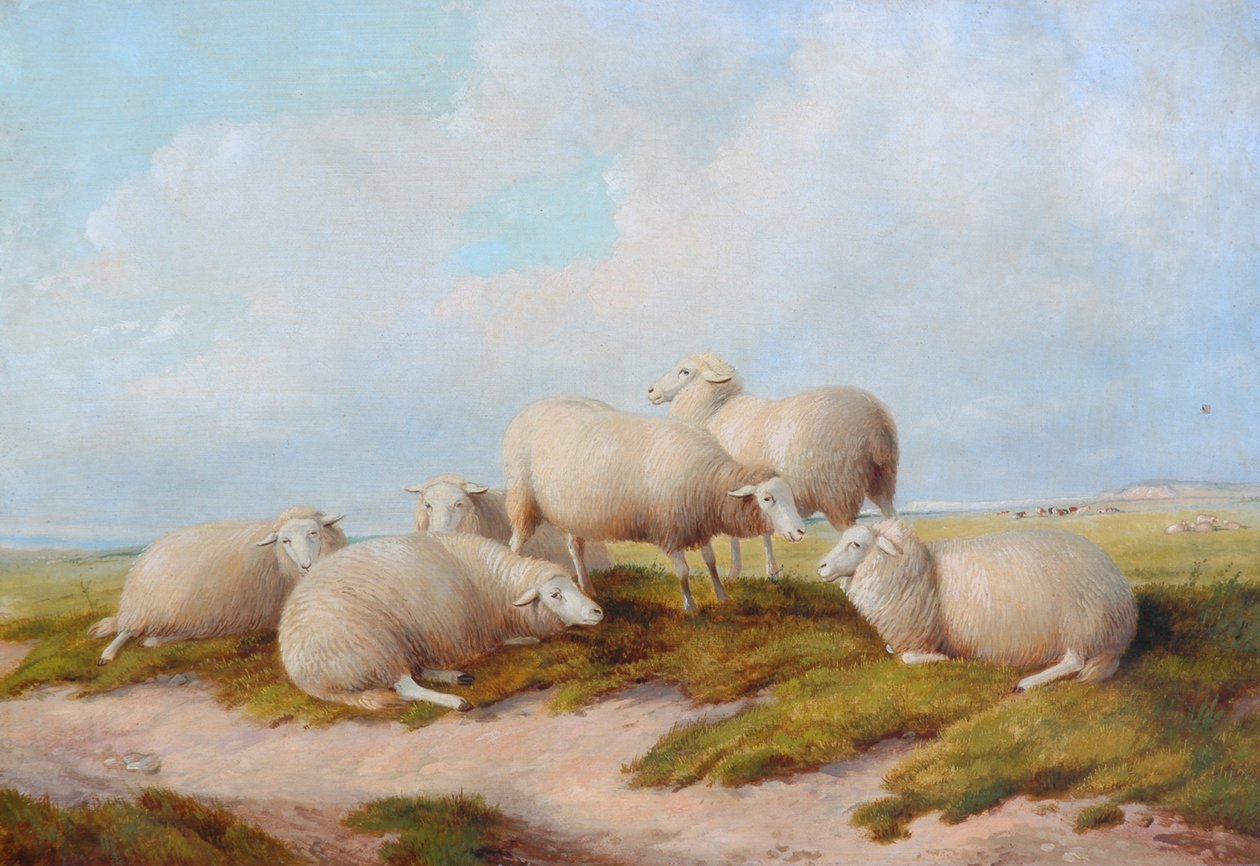 Schapen door Thomas Sidney Cooper