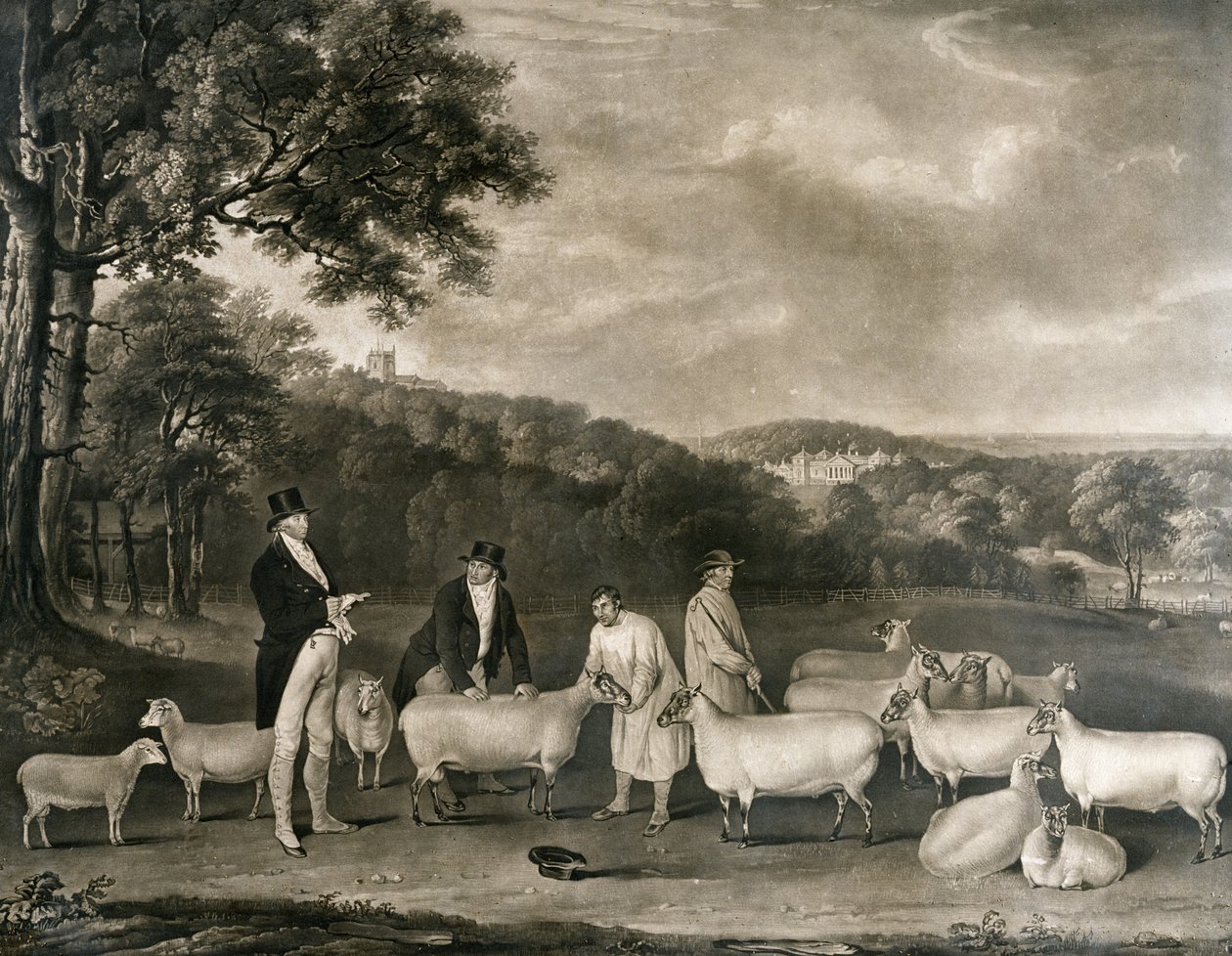 Portret van Thomas William Coke, Esq. (1752-1842) inspecteert enkele van zijn South Down schapen met Mr Walton en de herders van Holkham, gegraveerd door William Ward (1766-1826), 1808 door Thomas Weaver
