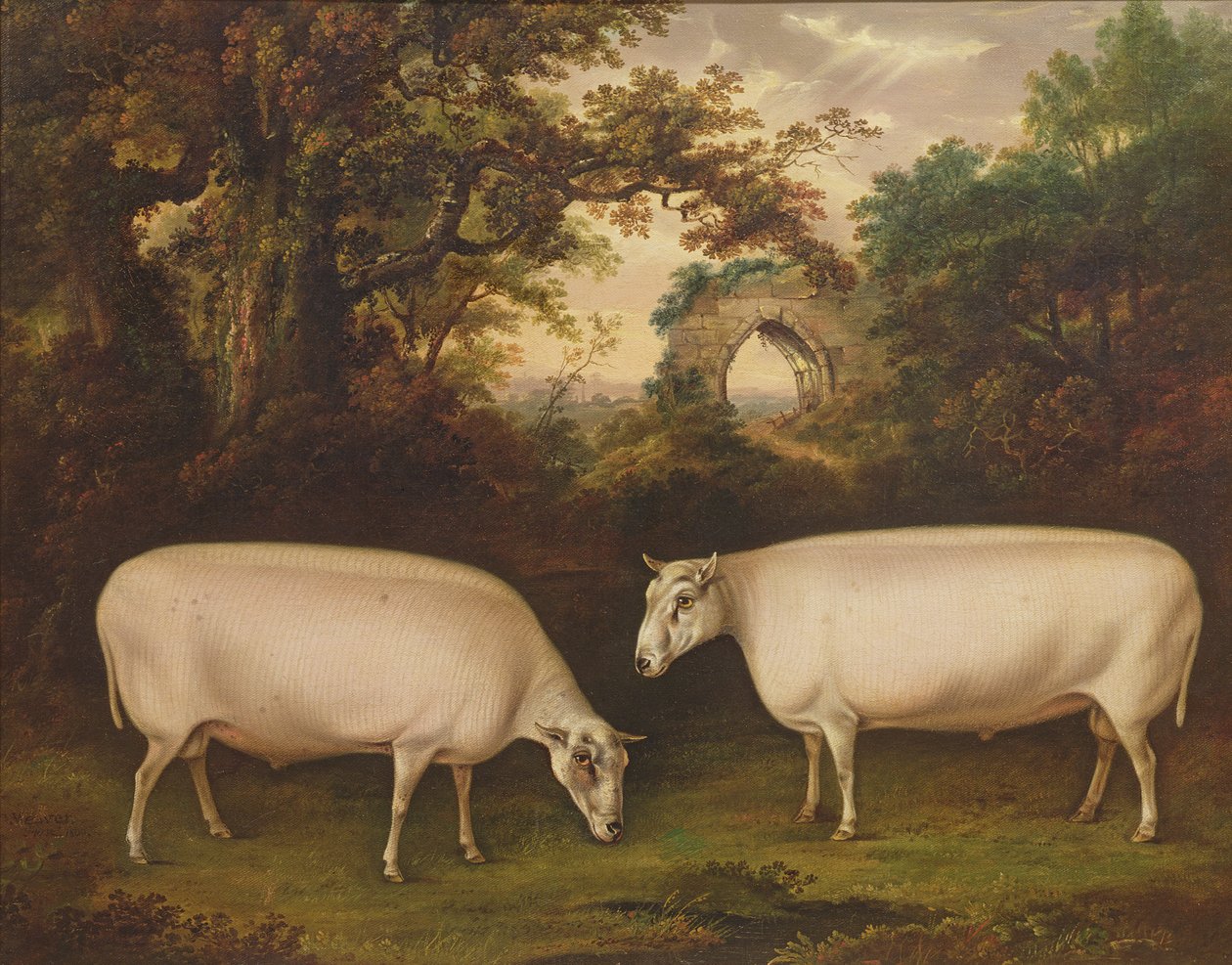 Twee prijswinnende Border Leicester rammen in een landschap door Thomas Weaver