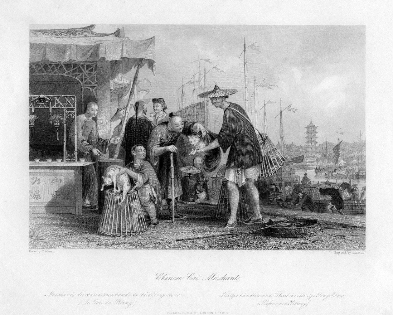 Chinese kattenhandelaren door Thomas Abel Prior