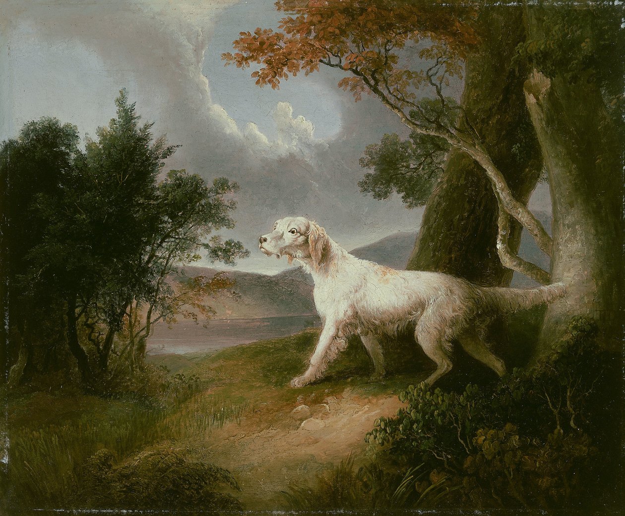 Landschap met hond door Thomas Doughty