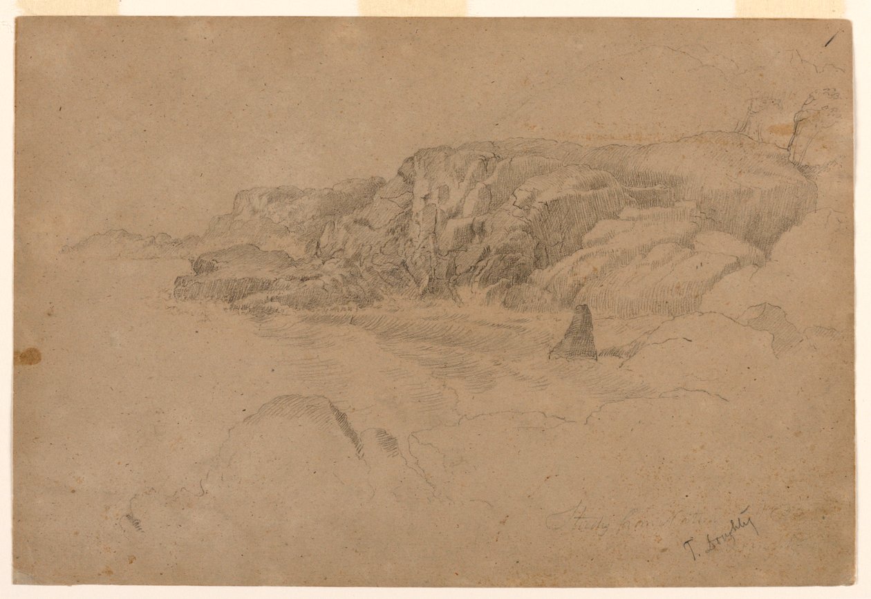 Studie uit de natuur door Thomas Doughty