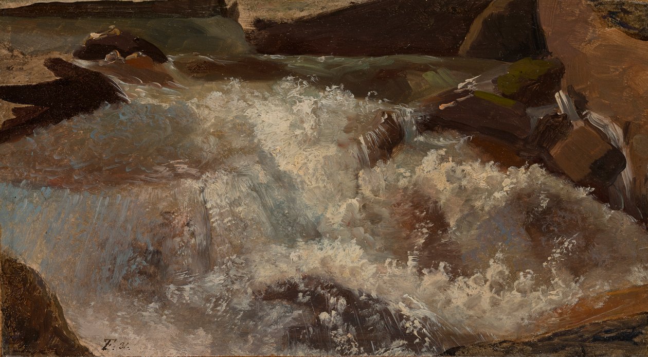 Wildwater. Natuurstudie door Thomas Fearnley