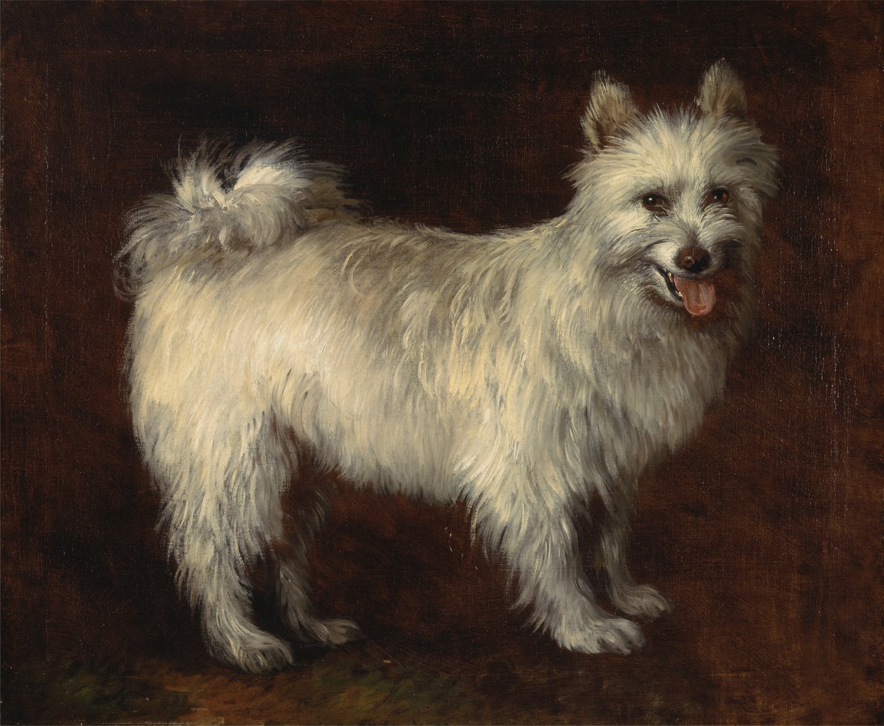 Spitzhond, Een Hond door Thomas Gainsborough