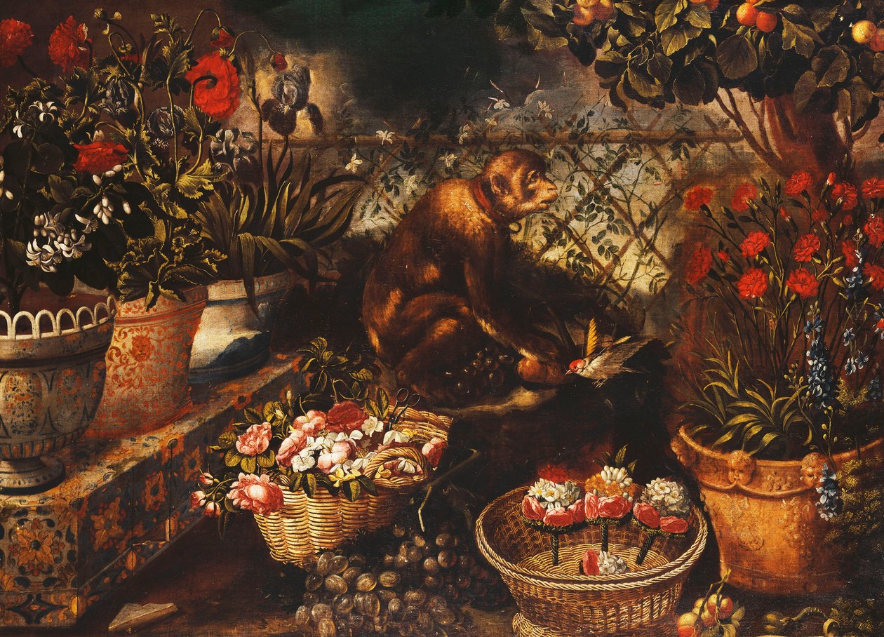 Een Aap in een Omheinde Tuin door Thomas Hiepes