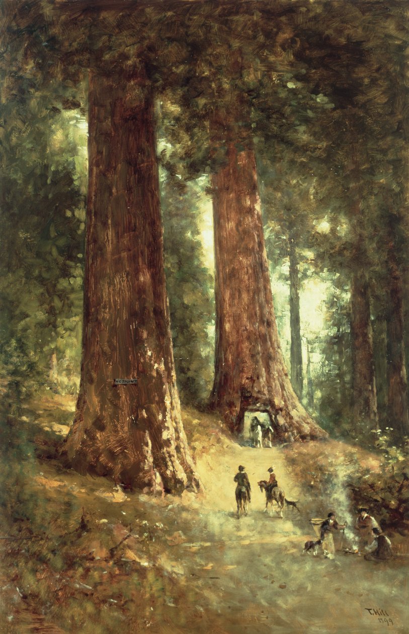 In de Redwoods, 1899 door Thomas Hill