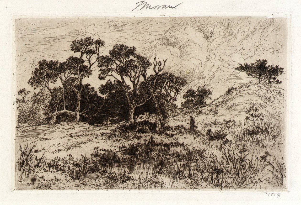 Een zuidenwind door Thomas Moran
