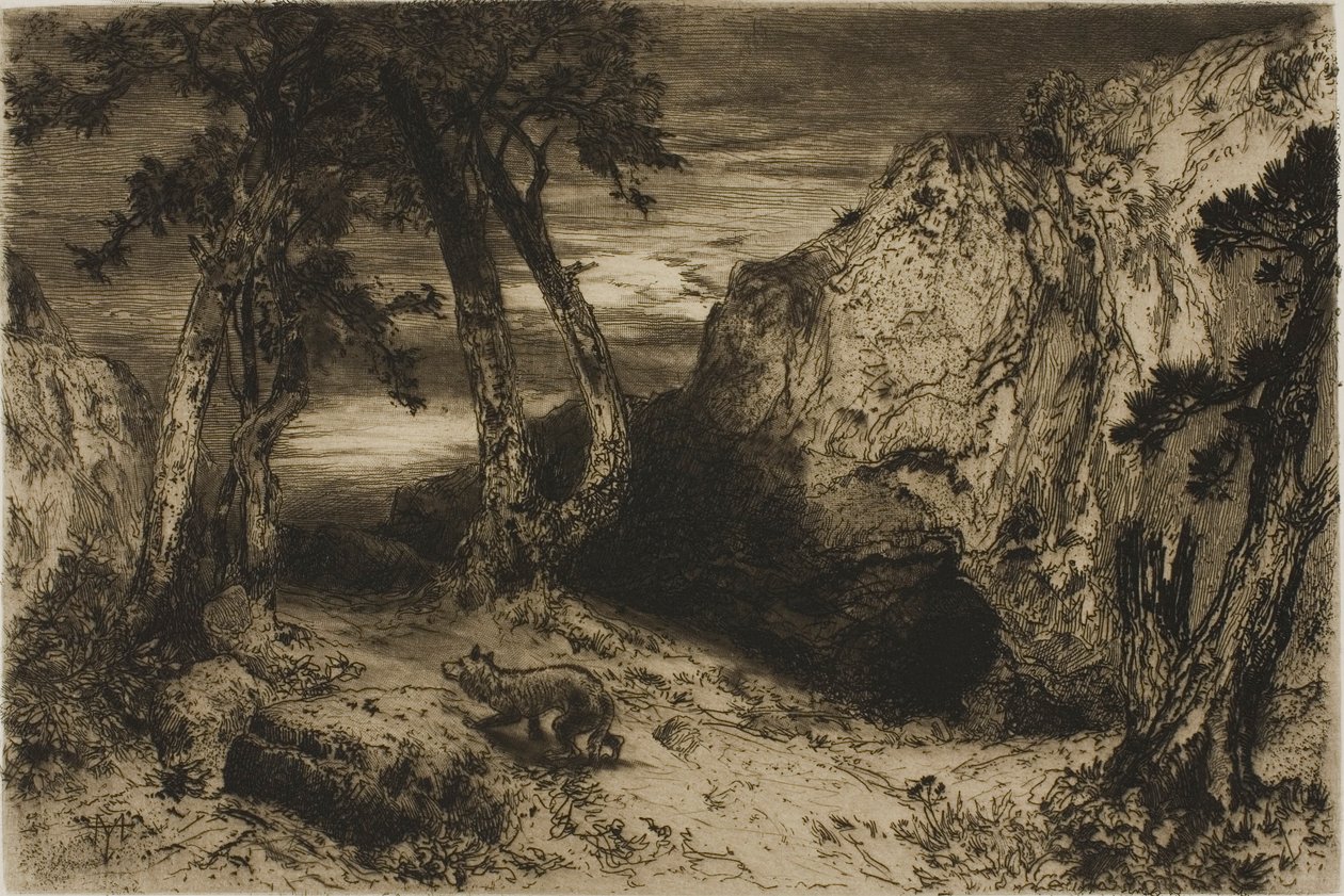 De coyote - Arizona door Thomas Moran