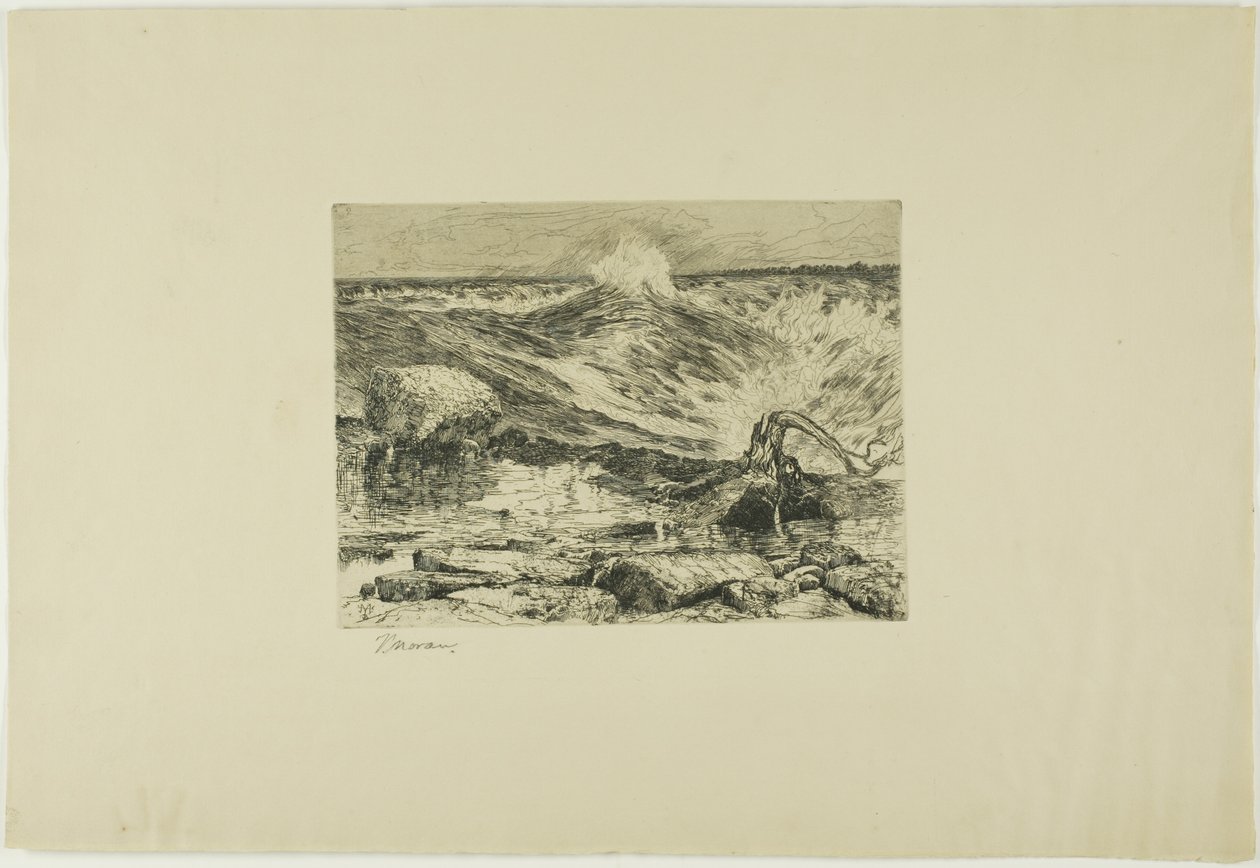 De stroomversnellingen boven Niagara door Thomas Moran