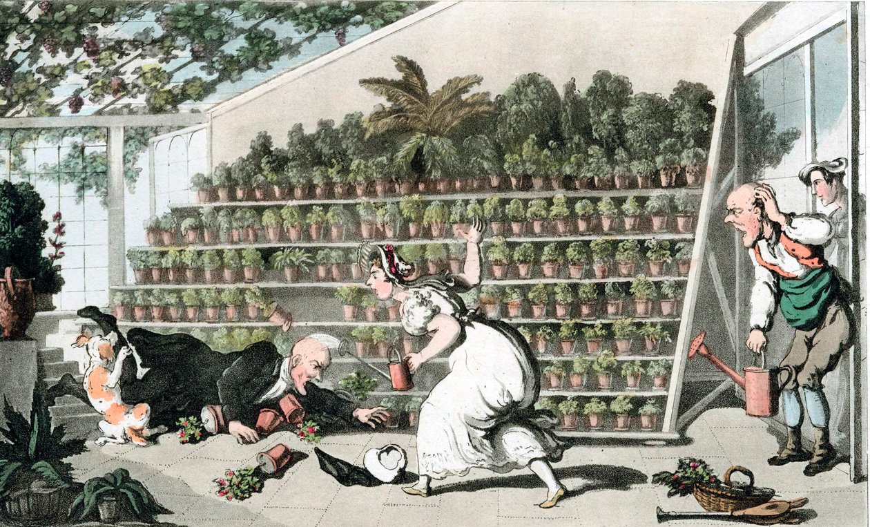 Ongeluk in de Tulpenhal, ca. 1816 door Thomas Rowlandson